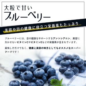 【男鹿ぶるーべりーガーデン】 冷凍ブルーベリー500g×2パック（合計1kg）