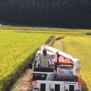 【令和5年産米】特別栽培米 こまちの郷のこまち米 精米 5kg×2袋[B5-12401]