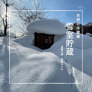 雪中貯蔵 りんご ふじ 3kg 高糖度[B2-9904]