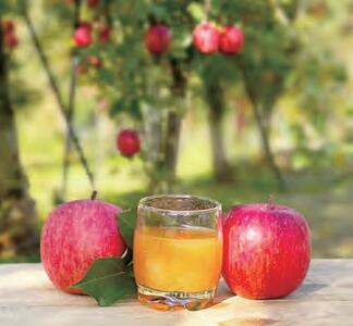 りんごジュース 20個入【まるてつ果樹園】[B4802]