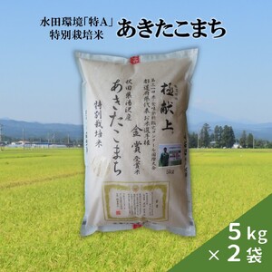 【令和6年産米】特別栽培米あきたこまち　精米5kg×2袋[H38-2101]