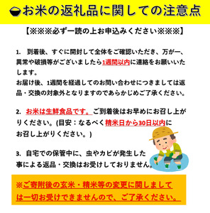 【令和6年産米】特別栽培米あきたこまち　精米5kg×2袋[H38-2101]