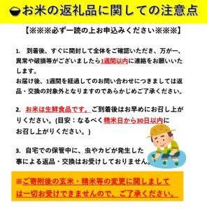 【定期便12ヶ月】【令和7年産】特別栽培米 あきたこまち 精米 5kg 【渡部 浩見】[F2121]
