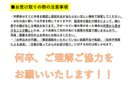 三関旬のりんご3kg満杯詰め[J5-15101]