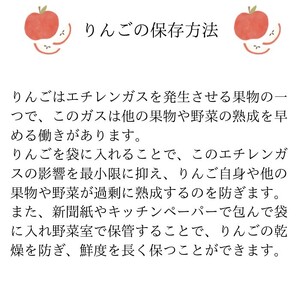 秋田県産 りんご ふじ 3kg 最高の甘味と香り 産地直送【BARUバイオジャパン吉村(株)】[B1-9904]