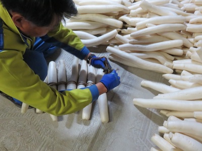 いぶり大根漬け スライスパック4袋 農薬・添加物不使用 いぶりがっこ いぶりがっこ いぶりがっこ いぶりがっこ 【渡部 浩見】[B1-2104]