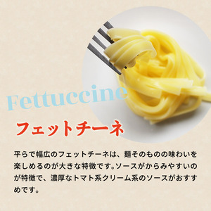 こまち麺パスタ フェットチーネ 250g 10袋セット グルテンフリー 秋田県産 あきたこまち お米 を使った パスタ 麺 乾麺 【(株)波里】[B2-15501]