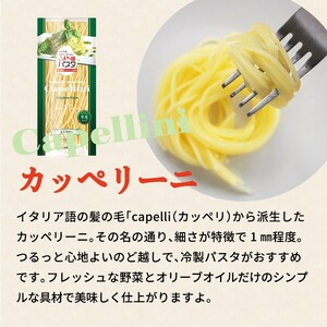 こまち麺パスタ カッペリーニ 250g 10袋セット グルテンフリー 秋田県産 あきたこまち お米 を使った パスタ 麺 乾麺 【(株)波里】[B2-15502]