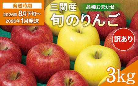 三関産 旬のりんご 家庭用 3kg （8玉～12玉） 旬 りんご 品種お任せ 果物 フルーツ 秋田県 三関 【三関果樹研究会】[J15101]