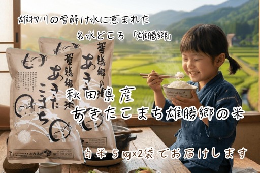 令和7年産 あきたこまち 雄勝郷の米 白米5kg×2袋 計10kgふるさと納税 秋田 米 あきたこまち お米【（株）山内儀助商店】[C2-2001]