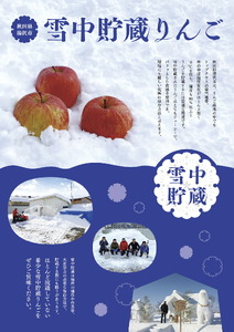 ＼希少価値が高い／ 雪中貯蔵 ふじ 三関 りんご 3kg 秀品【三関果樹研究会】[L15103]