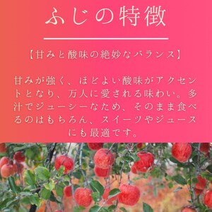 秋田県産 りんご ふじ 訳あり 約5kg 家庭用【BARUバイオジャパン吉村(株)】[B3-9905]
