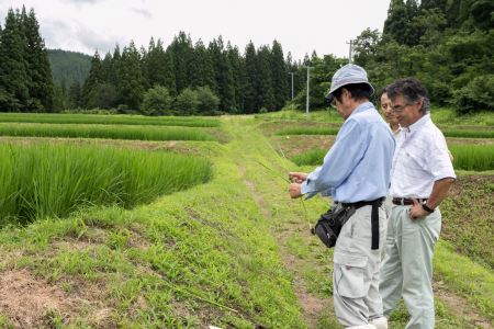 【令和6年産米】小野小町の郷特別栽培米あきたこまち2kg×1袋[K1-2201]