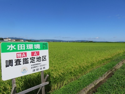 【令和5年産米】特別栽培米あきたこまち　精米5kg[B1-2101]
