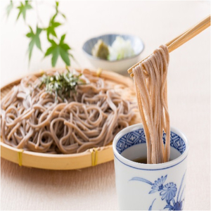 稲庭古来そば 40人前（160g×20袋） ふるさと納税 秋田県 稲庭そば 蕎麦【（有）稲庭古来堂】[B5-1401]