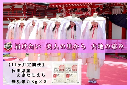【令和4年産米】F2501 【定期便11ヶ月】秋田県産あきたこまち(無洗米)5kg×2袋