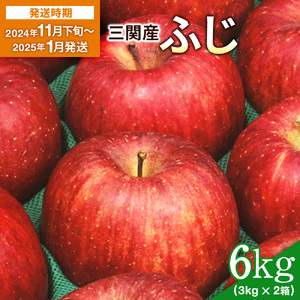 B2604 三関産りんご(ふじ)6kg(3kg×2箱)