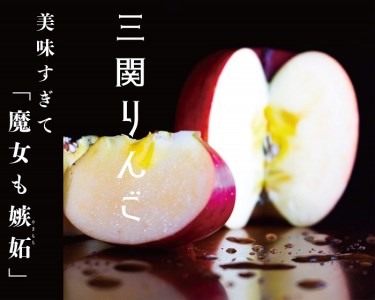 三関産ふじりんご3kg満杯詰め 三関りんご ふじりんご 秋田県産 湯沢市産 果物 フルーツ 産地直送 甘い ジューシー 旬の味覚【奥山農園】[K10401]