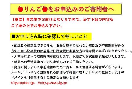 三関産ふじりんご3kg満杯詰め 三関りんご ふじりんご 秋田県産 湯沢市産 果物 フルーツ 産地直送 甘い ジューシー 旬の味覚【奥山農園】[K10401]
