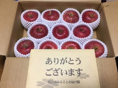 三関産りんご晩生種詰め合わせ 3kg満杯詰め 三関りんご 晩生種 りんご 詰め合わせ ふじ 王林 はるか 秋田県産 湯沢市産 果物 フルーツ 産地直送 甘い ジューシー【奥山農園】[K10402]