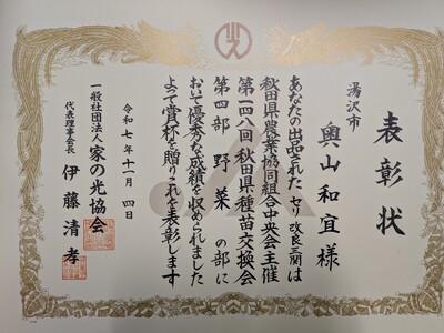 ＼TV青空レストランに登場／ 贅沢 三関産 せり鍋セット 3?4人前 (せり1kg 比内地鶏鍋つゆ 稲庭うどん 生麺 ) 生産者直送 ご自宅で絶品の せりしゃぶ が楽しめる せり鍋 ふるさと納税 せり 鍋 鶏 ふるさと 人気 ランキング【（株）CRAS】[B7-10901]