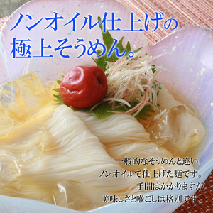 稲庭そうめんチャック袋入800g(約10人前)【(株)無限堂】[K12901]