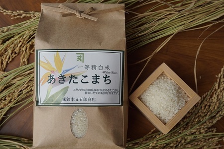 【訳あり】無洗米あきたこまち定期便5kg×6ヵ月[D1-2301]