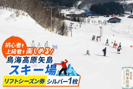 鳥海高原矢島スキー場 リフトシーズン券 シルバー(60歳以上) 1枚【営業期間：2025年12月～2026年3月】＜簡易書留＞