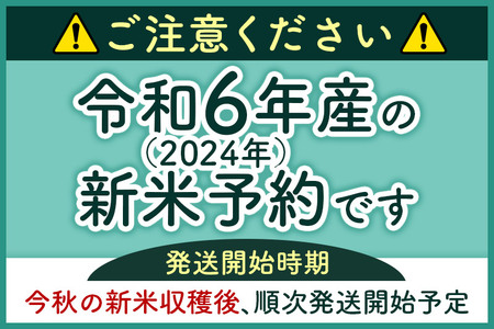 《新米予約》令和6年産 【 白米 】 秋田県産ひとめぼれ5kg