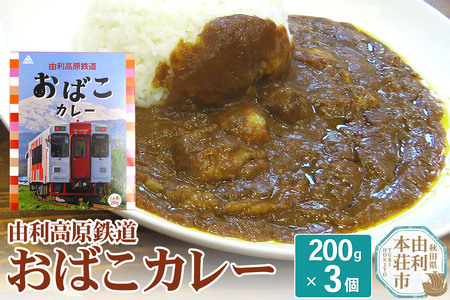 由利高原鉄道 おばこカレー 中辛 200g×3個セット