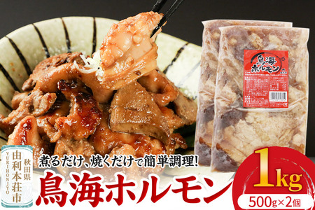 鳥海ホルモン 2個入（500g×2） 11,360円