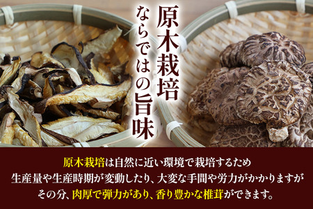 原木栽培 干ししいたけ 2種セット【スライス】20g×2袋【どんこ】30g×2袋