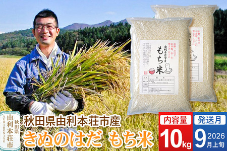 《予約受付》【2026年9月上旬発送・お彼岸】令和7年産【もち米】 10kg（5kg×2袋） 秋田県 由利本荘市産 きぬのはだ 精米 10kg