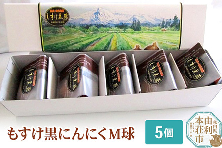 H10064もすけ黒にんにく