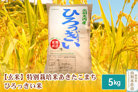 【玄米】 秋田県産 あきたこまち 5kg 令和5年産 特別栽培米 ひろっきい米