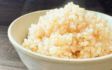 【玄米】 秋田県産 あきたこまち 5kg 令和5年産 特別栽培米 ひろっきい米