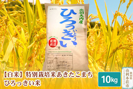 【白米】 秋田県産 あきたこまち 10kg  令和5年産 特別栽培米 ひろっきい米
