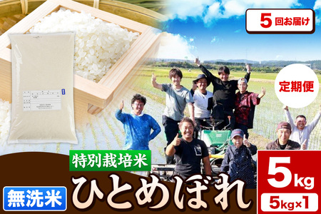 《定期便5ヶ月》令和7年産【無洗米】特別栽培米 ひとめぼれ 5kg 秋田県産 お米 米 こめ