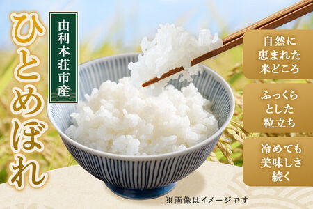 《新米予約》《定期便2ヶ月》令和8年産【白米】特別栽培米 ひとめぼれ 5kg 秋田県産 [ひとめぼれ 米 お米 白米 精米 特別栽培米 ブランド米 食卓 秋田県産 秋田県 由利本荘市]