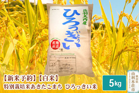 《新米予約》【白米】 秋田県産 あきたこまち 5kg  令和6年産 特別栽培米 ひろっきい米