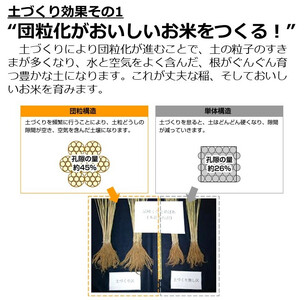 《新米予約》【白米】《1回のみお届け》5kg 令和7年産 ひとめぼれ 土作り実証米 秋田県産