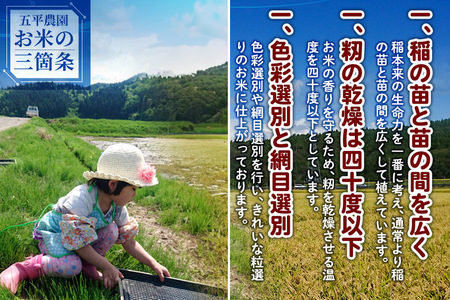 【玄米】ひとめぼれ 令和5年産 秋田県産 五平農園のひとめぼれ 20kg