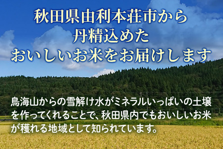 【白米】 <通算5回 特A> ひとめぼれ 10kg 令和7年産 新米 農家直送 渡部さんのひとめぼれ