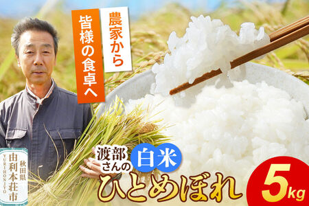 【白米】 ＜通算5回 特A＞ ひとめぼれ   5kg 令和7年産 農家直送 渡部さんのひとめぼれ