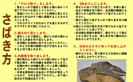 真鱈 【メス】 3kg 天然 漁師直送 (配送期間 10月～1月末予定、期間外は次期予約扱い) マダラ タラ 高級魚 たら まだら 魚