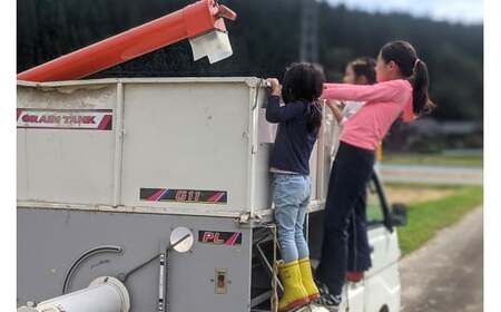 【玄米】秋田県由利本荘市産 ササニシキ 10kg(5kg×2袋) 令和7年産 真空パック 岩城町農園