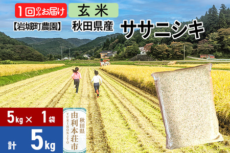 【玄米】秋田県由利本荘市産 ササニシキ 5kg(5kg×1袋) 令和7年産 真空パック 岩城町農園