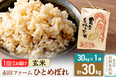【超歓迎】 令和6年産【玄米】秋田県産ひとめぼれ 計30kg（30kg×1袋 米・雑穀・粉類