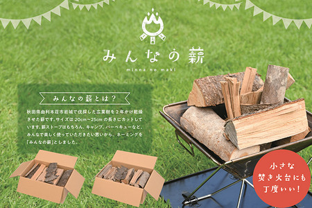 みんなの薪(大) 広葉樹ミックスセット20cmから25cmカット 120サイズ