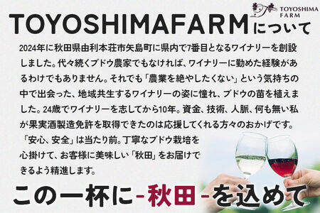 TOYOSHIMA FARM  ワイン用ブドウ100％のブドウジュース 500ml [ぶどうジュース ブドウジュース 果汁100％ジュース ジュース]